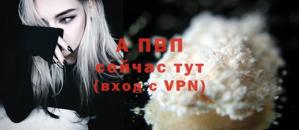 шишки Богородск