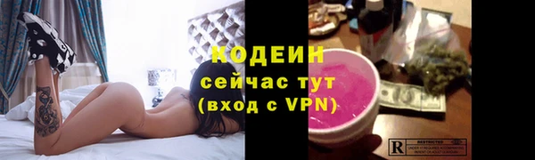 шишки Богородск