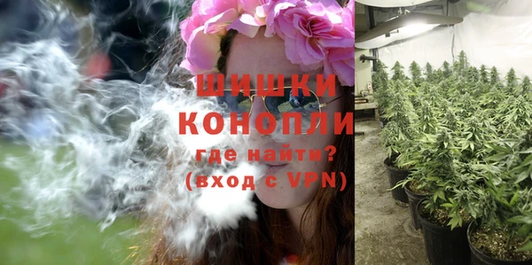 шишки Богородск
