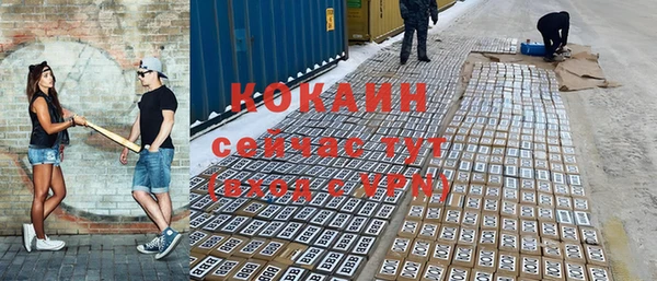 шишки Богородск