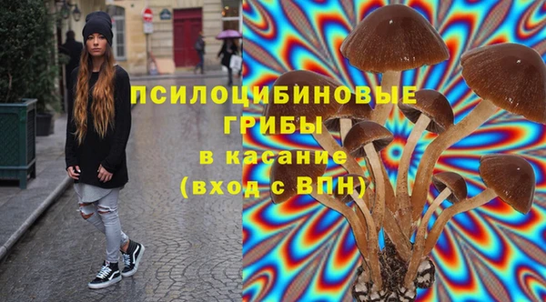 шишки Богородск